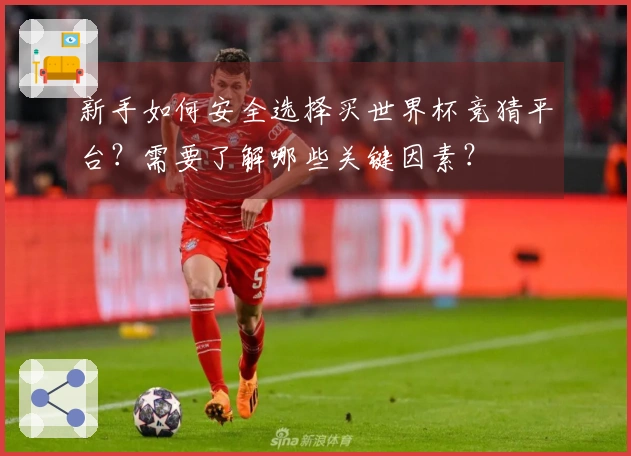 新手如何安全选择买世界杯竞猜平台？需要了解哪些关键因素？