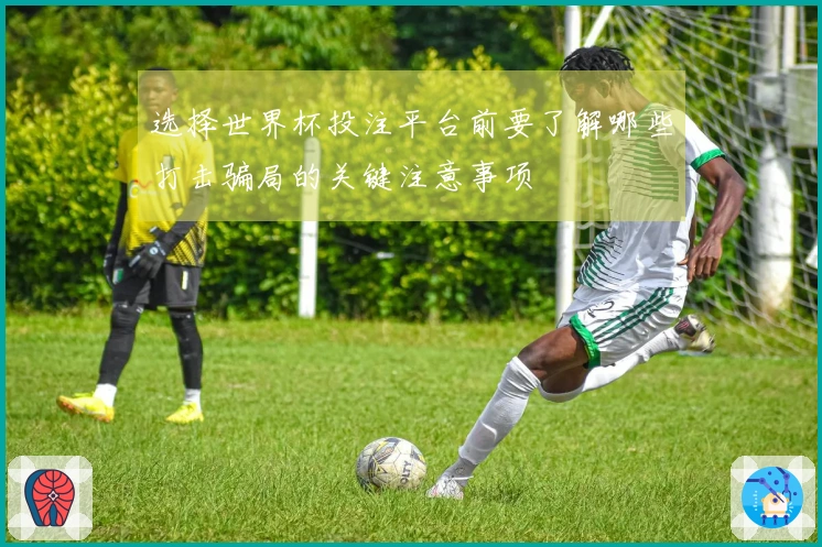 选择世界杯投注平台前要了解哪些打击骗局的关键注意事项