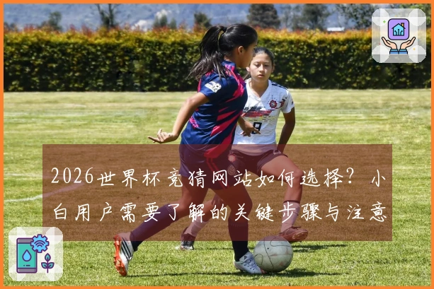 2026世界杯竞猜网站如何选择？小白用户需要了解的关键步骤与注意事项