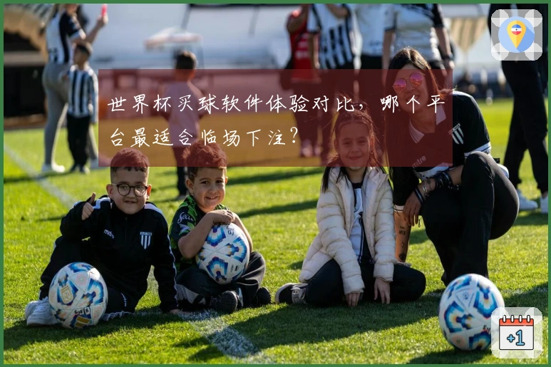 世界杯买球软件体验对比，哪个平台最适合临场下注？
