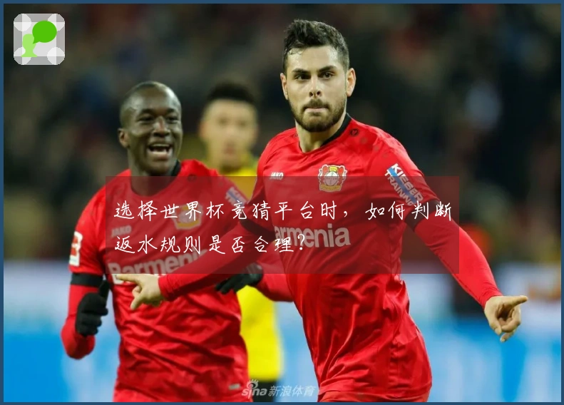 选择世界杯竞猜平台时，如何判断返水规则是否合理？