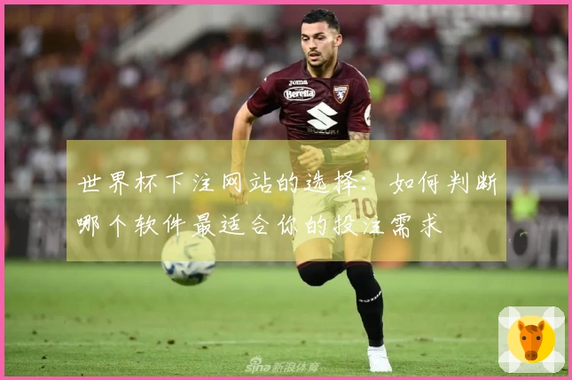 世界杯下注网站的选择：如何判断哪个软件最适合你的投注需求