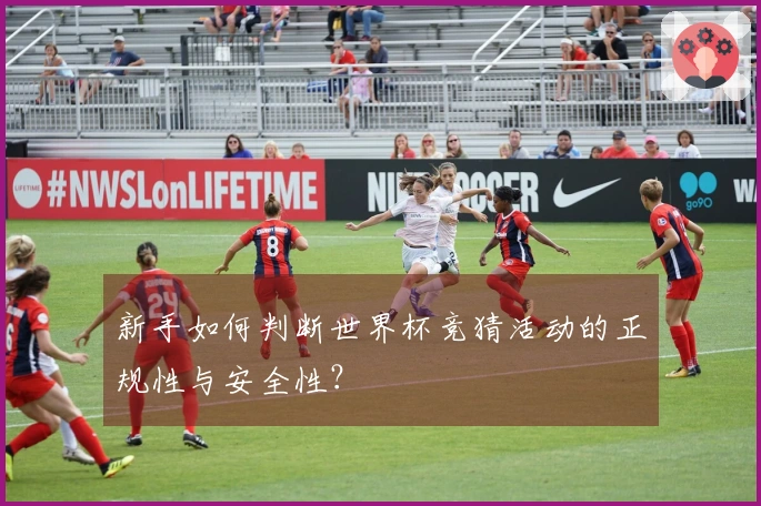新手如何判断世界杯竞猜活动的正规性与安全性？