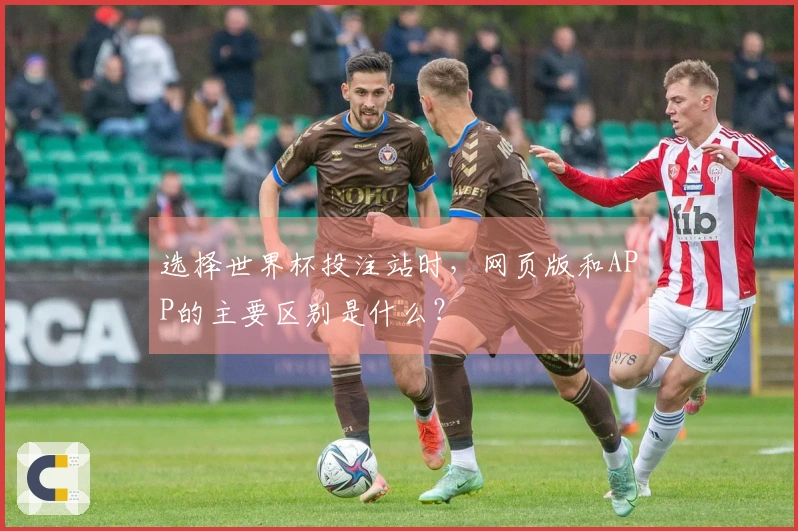 选择世界杯投注站时，网页版和APP的主要区别是什么？
