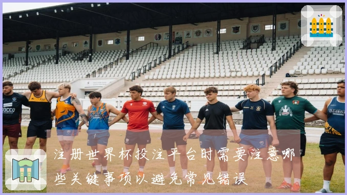 注册世界杯投注平台时需要注意哪些关键事项以避免常见错误