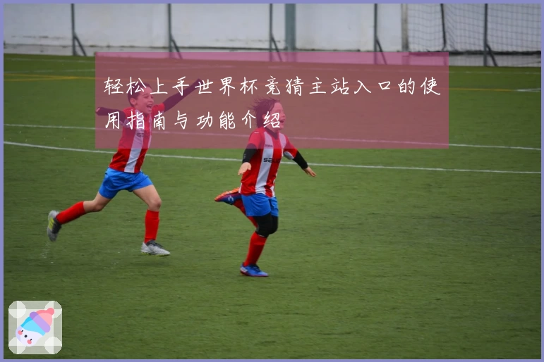 轻松上手世界杯竞猜主站入口的使用指南与功能介绍