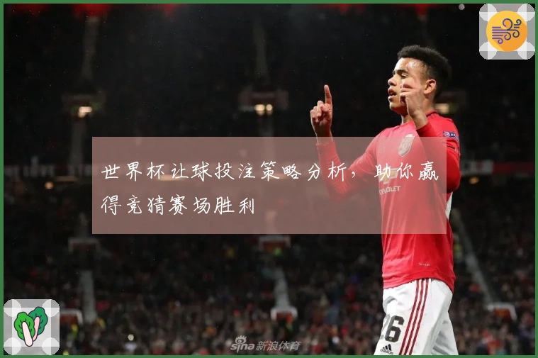 世界杯让球投注策略分析，助你赢得竞猜赛场胜利