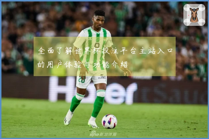 全面了解世界杯投注平台主站入口的用户体验与功能介绍