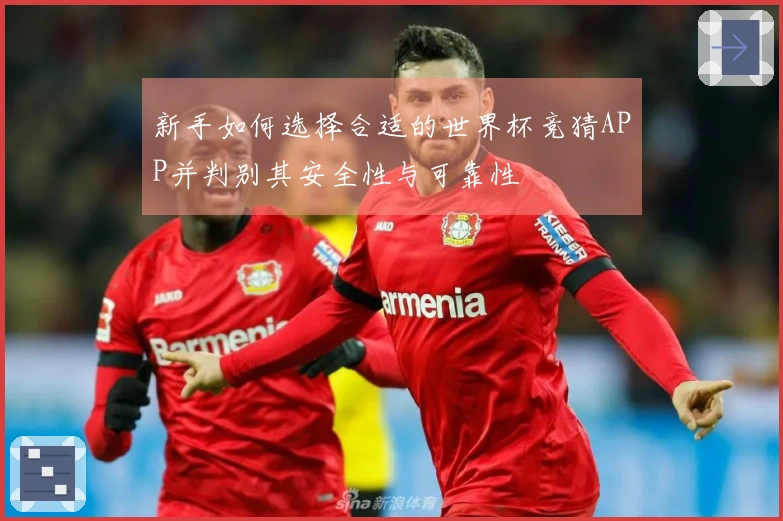 新手如何选择合适的世界杯竞猜APP并判别其安全性与可靠性