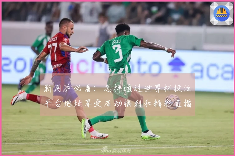 新用户必看：怎样通过世界杯投注平台地址享受活动福利和精彩直播体验