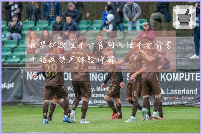 世界杯投注平台官网网址平台背景介绍及使用体验详解