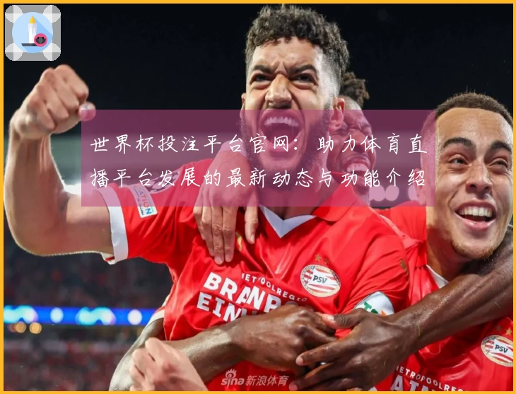 世界杯投注平台官网：助力体育直播平台发展的最新动态与功能介绍