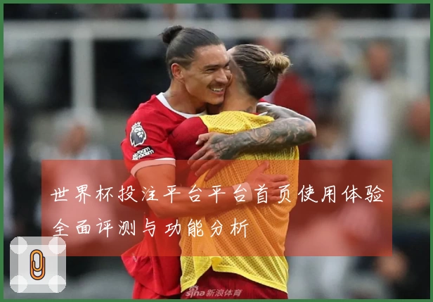 世界杯投注平台平台首页使用体验全面评测与功能分析