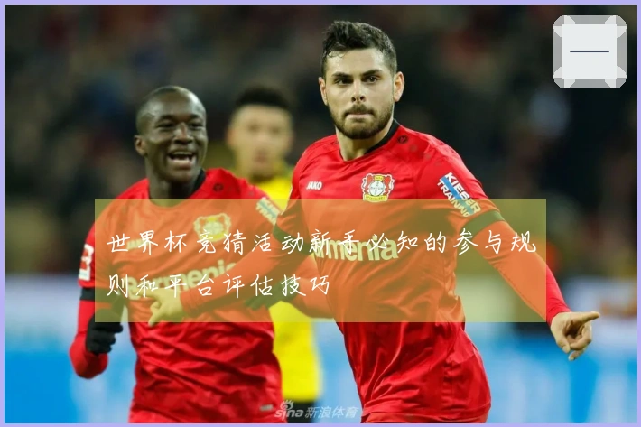 世界杯竞猜活动新手必知的参与规则和平台评估技巧
