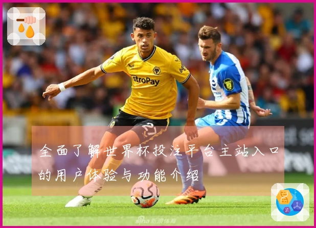 全面了解世界杯投注平台主站入口的用户体验与功能介绍