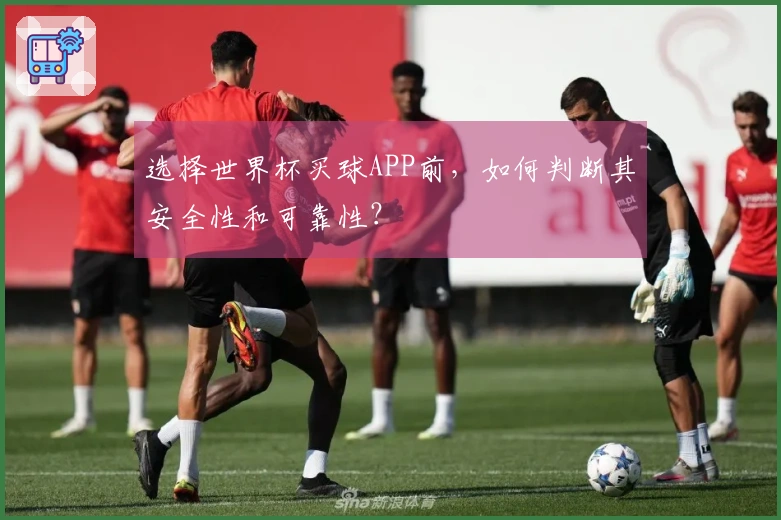 选择世界杯买球APP前，如何判断其安全性和可靠性？