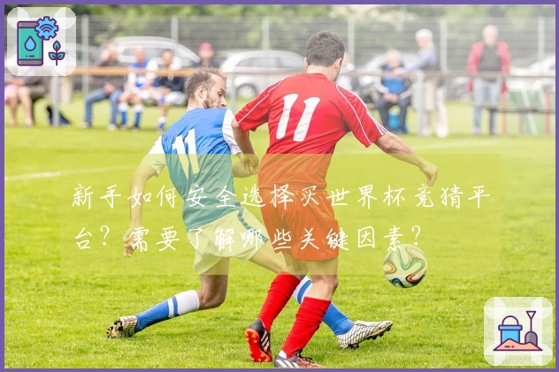 新手如何安全选择买世界杯竞猜平台？需要了解哪些关键因素？
