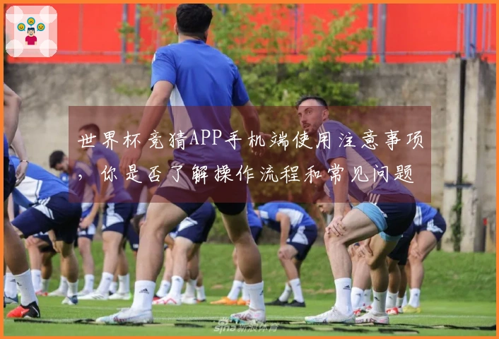 世界杯竞猜APP手机端使用注意事项，你是否了解操作流程和常见问题？
