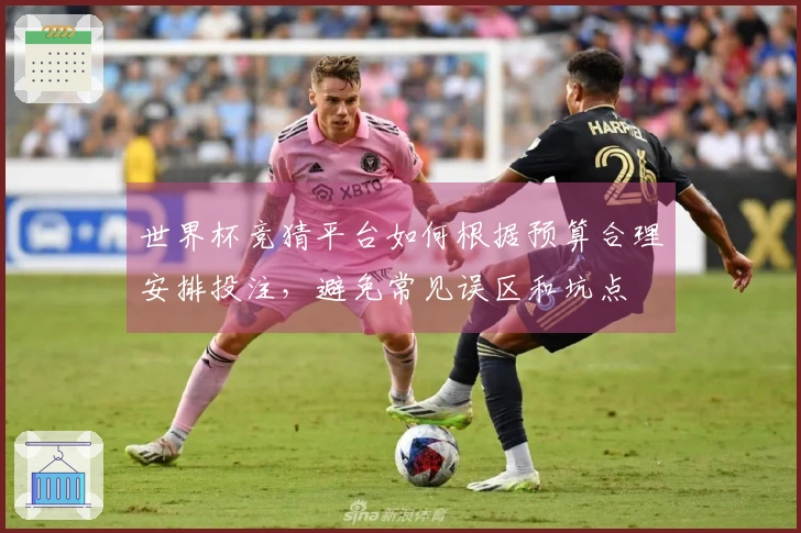 世界杯竞猜平台如何根据预算合理安排投注，避免常见误区和坑点