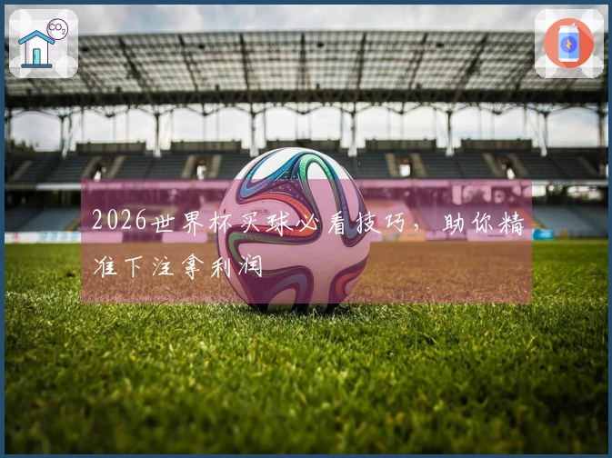 2026世界杯买球必看技巧，助你精准下注拿利润