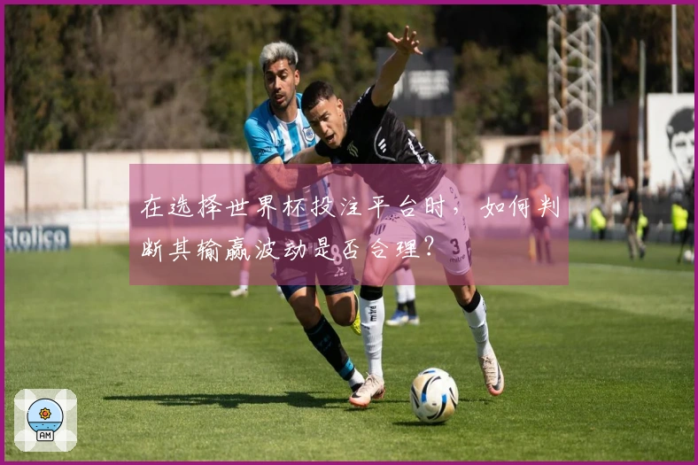 在选择世界杯投注平台时，如何判断其输赢波动是否合理？