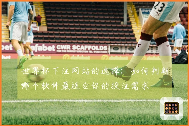世界杯下注网站的选择：如何判断哪个软件最适合你的投注需求