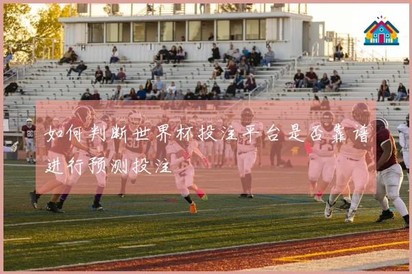 如何判断世界杯投注平台是否靠谱进行预测投注