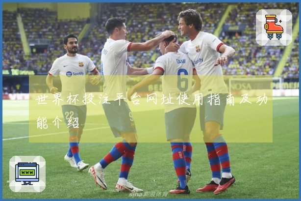 世界杯投注平台网址使用指南及功能介绍