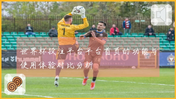 世界杯投注平台平台首页的功能与使用体验对比分析