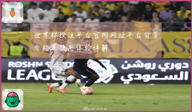 世界杯投注平台官网网址平台背景介绍及使用体验详解